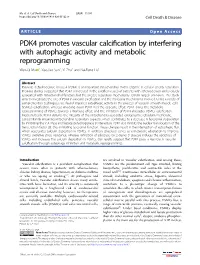 PDK4 Promotes Vascular Calcification by Interfering with Autophagic