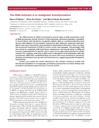 The RNA Helicase a in Malignant Transformation