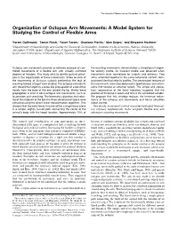 A Model System for Studying the Control of Flexible Arms