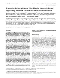 A Transient Disruption of Fibroblastic Transcriptional