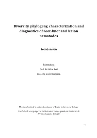 Diversity, Phylogeny, Characterization and Diagnostics of Root-Knot and Lesion Nematodes