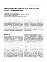 Early Differentiation and Migration of Cranial Neural Crest in the Opossum, Monodelphis Domestica
