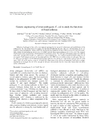 Genetic Engineering of Avian Pathogenic E. Coli to Study the Functions of Fimh Adhesin