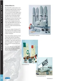 K&W Model Airplanes 1/5-Scale