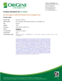 Beta Sarcoglycan (SGCB) (NM 000232) Human Untagged Clone Product Data
