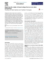 Exploring the Origin of Insect Wings from an Evo-Devo Perspective