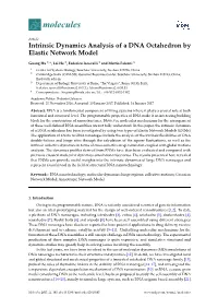 Intrinsic Dynamics Analysis of a DNA Octahedron by Elastic Network Model