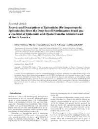 Records and Descriptions of Epitoniidae (Orthogastropoda