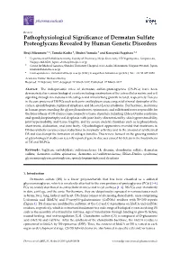 Pathophysiological Significance of Dermatan