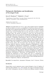 Phylogenetic Distribution and Identification of Fin-Winged Fruits