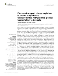 Electron Transport Phosphorylation in Rumen Butyrivibrios: Unprecedented ATP Yield for Glucose Fermentation to Butyrate