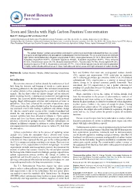 Trees and Shrubs with High Carbon Fixation/Concentration