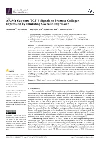 AP2M1 Supports TGF- Signals to Promote Collagen Expression By