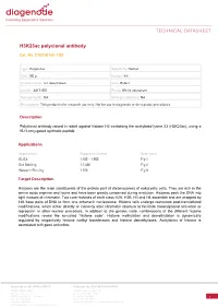 Document Title