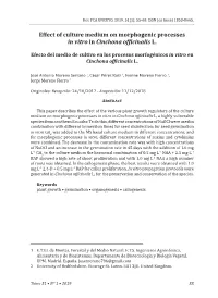 Effect of Culture Medium on Morphogenic Processes in Vitro in Cinchona Officinalis L