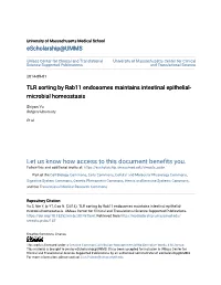 TLR Sorting by Rab11 Endosomes Maintains Intestinal Epithelial-Microbial Homeostasis