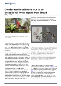 Confiscated Fossil Turns out to Be Exceptional Flying Reptile from Brazil 25 August 2021
