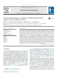 Diversity and Distribution of Rhizobia Nodulated with Phaseolus Vulgaris in Two Ecoregions of China