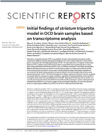 Initial Findings of Striatum Tripartite Model in OCD Brain Samples Based