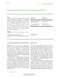Non-Genetic Inheritance and Changing Environments