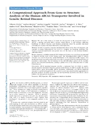 A Computational Approach from Gene to Structure Analysis of the Human ABCA4 Transporter Involved in Genetic Retinal Diseases