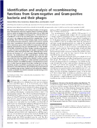 Identification and Analysis of Recombineering Functions from Gram-Negative and Gram-Positive Bacteria and Their Phages