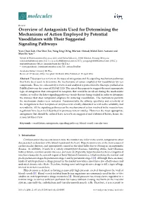 Overview of Antagonists Used for Determining the Mechanisms of Action Employed by Potential Vasodilators with Their Suggested Signaling Pathways