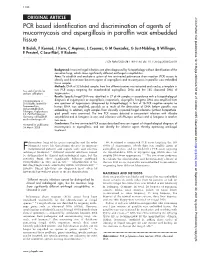 PCR Based Identification and Discrimination of Agents Of