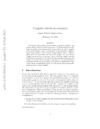 Complete Objects in Categories