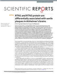RTN1 and RTN3 Protein Are Differentially Associated with Senile