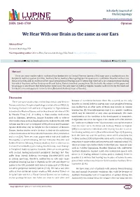 We Hear with Our Brain As the Same As Our Ears