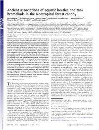Ancient Associations of Aquatic Beetles and Tank Bromeliads in the Neotropical Forest Canopy