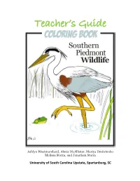 Teacher's Guide
