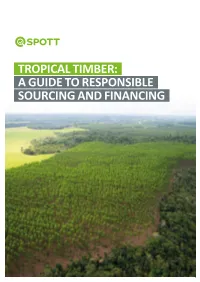 Tropical Timber: a Guide to Responsible Sourcing and Financing