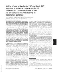 Ability of the Hydrophobic FGF and Basic TAT Peptides To