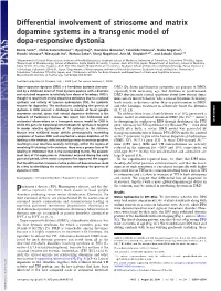 Differential Involvement of Striosome and Matrix Dopamine Systems in a Transgenic Model of Dopa-Responsive Dystonia