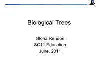 Reading Phylogenetic Trees: a Quick Review (Adapted from Evolution.Berkeley.Edu)