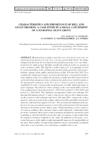 Characteristics and Importance of Rill and Gully Erosion: a Case Study in a Small Catchment of a Marginal Olive Grove
