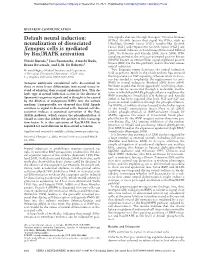 Neuralization of Dissociated Xenopus Cells Is Mediated by Ras/MAPK Activation