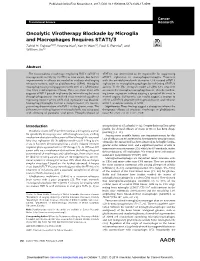 Oncolytic Virotherapy Blockade by Microglia and Macrophages Requires STAT1/3 Zahid M