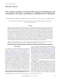 The Evolution and Utility of Ribosomal ITS Sequences in Bambusinae and Related Species: Divergence, Pseudogenes, and Implications for Phylogeny