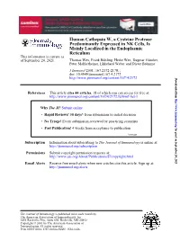 Reticulum Mainly Localized in the Endoplasmic Predominantly