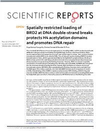 Spatially Restricted Loading of BRD2 at DNA Double-Strand Breaks Protects