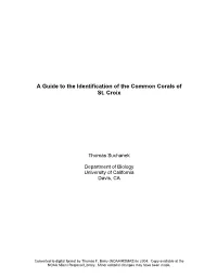 A Guide to the Identification of the Common Corals of St. Croix