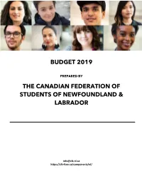 CFSNL-2019-Budget-Submission.Pdf