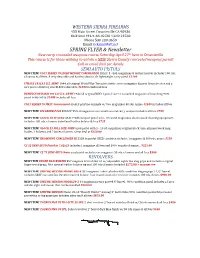 SPRING FLYER & Newsletter
