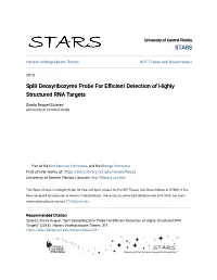Split Deoxyribozyme Probe for Efficient Detection of Highly Structured RNA Targets