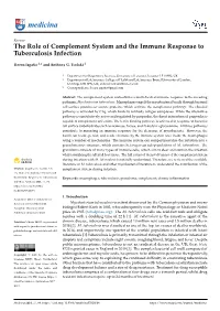 The Role of Complement System and the Immune Response to Tuberculosis Infection