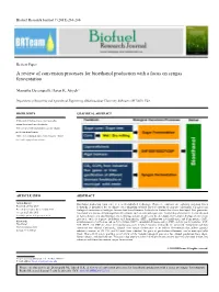 A Review of Conversion Processes for Bioethanol Production with a Focus on Syngas Fermentation