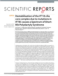 Destabilization of the IFT-B Cilia Core Complex Due to Mutations in IFT81
